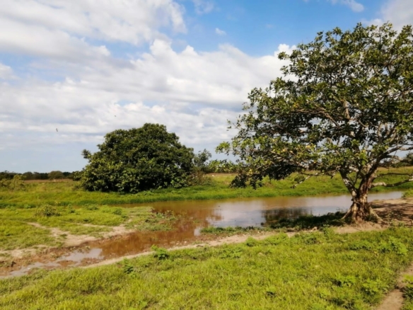 hectareas-finca-a-la-venta-en-arauca-vereda-maporiyal-