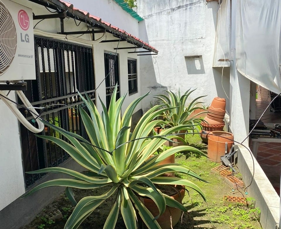 casa-en-venta-en-arauca-barrio-san-luis-inmobiliariarauca-patio1