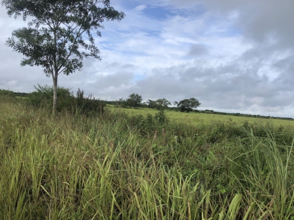 finca-venta-arauca-vereda-mata-de-gallina-inmobiliariarauca-terrenos-colombia