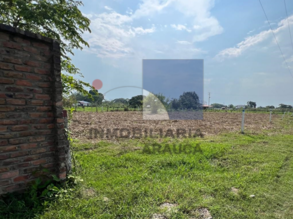 lotes-en-venta-en-arauca-clarinetero-el-pionio-inmobiliaria-arauca-1